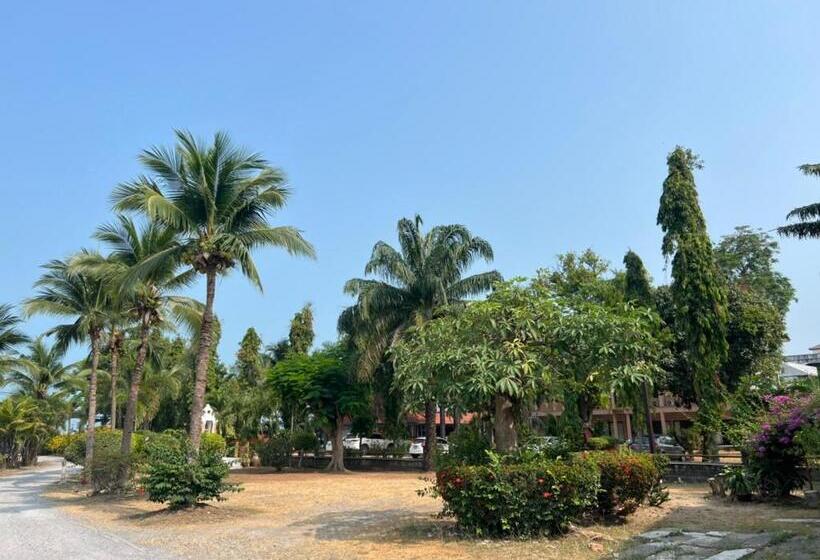 旅馆 Baan Wang Bua