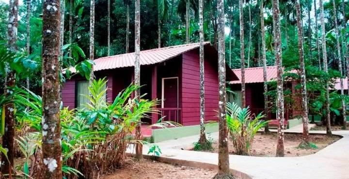 酒店 Lazo Areca Resort , Coorg