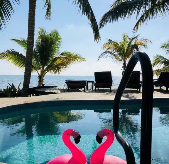 فندق صغير Coral Cove Inn