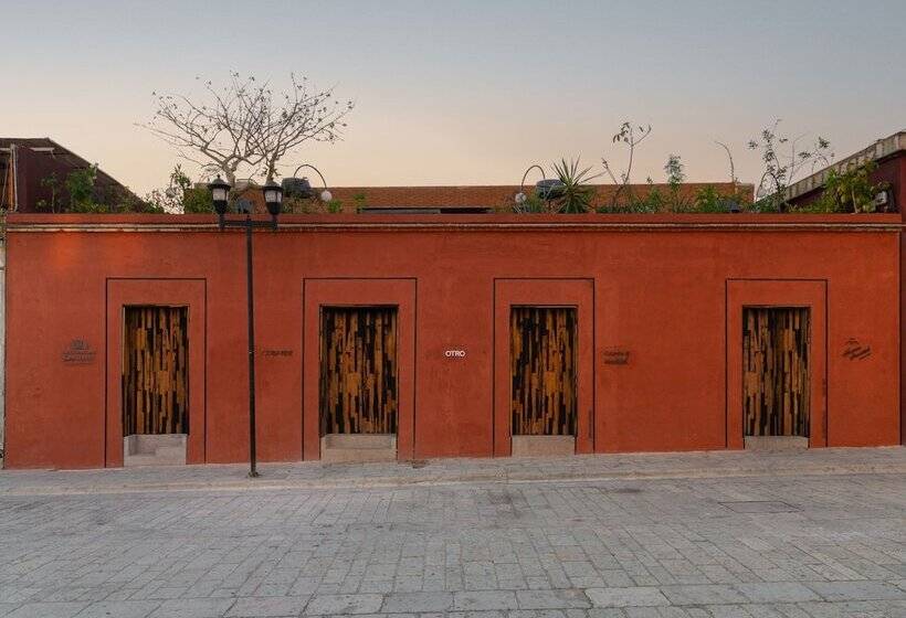 Otro Oaxaca, A Member Of Design Hotels