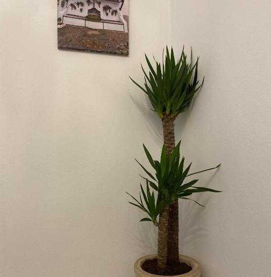 پانسیون Suites Benalup Centro