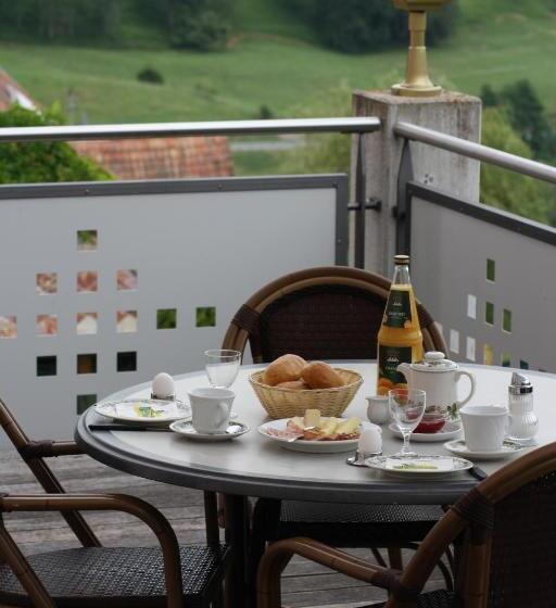 酒店 Gasthaus Storchen