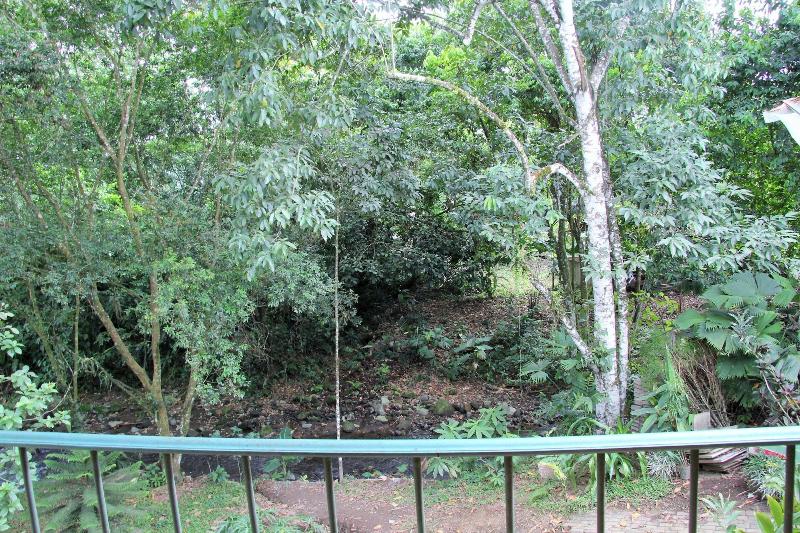 Fotos del hotel Monte Real:  12