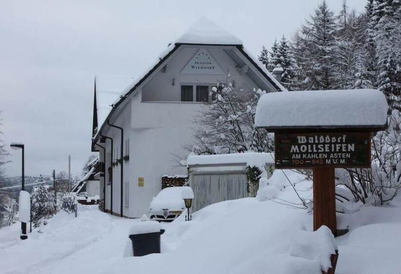 هتل Pension Walddorf