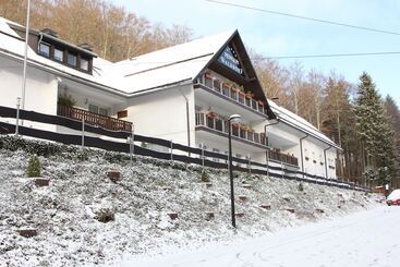 هتل Pension Walddorf