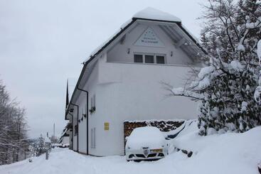 هتل Pension Walddorf