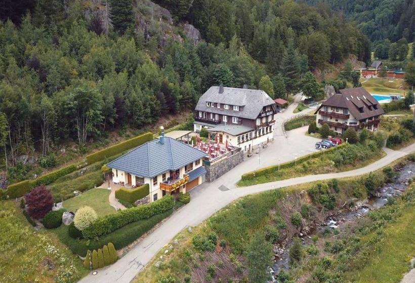 هتل Waldeck In Todtnau