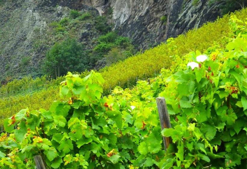 Weingut Und Hotel Haus Am Drachenloch