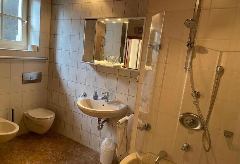 Общежитие Gasthaus Zur Sonne
