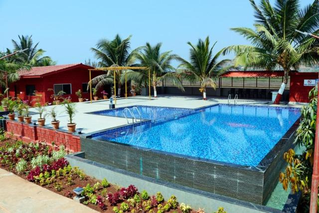 فندق Beach Village Resort