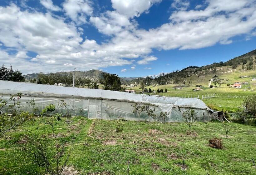 بنسيون Estancia Jardín De Teresita