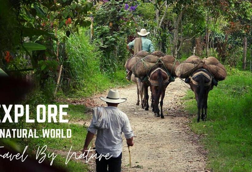 مبيت وإفطار Eco Lodge Villa Laura