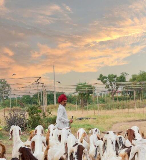 فندق Stayvista S Gaudhuli Farmstay   Outdoor Pool & Terrace With View