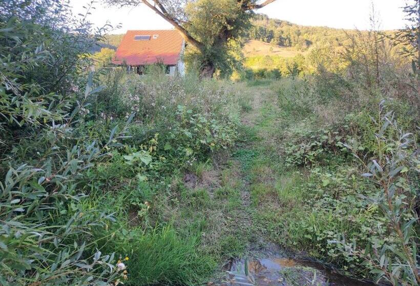 Отель Pensiune Agroturistica La Recea