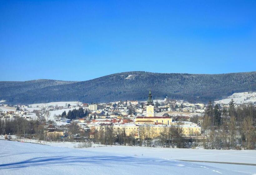 酒店 Seminarzentrum Stift Schlägl