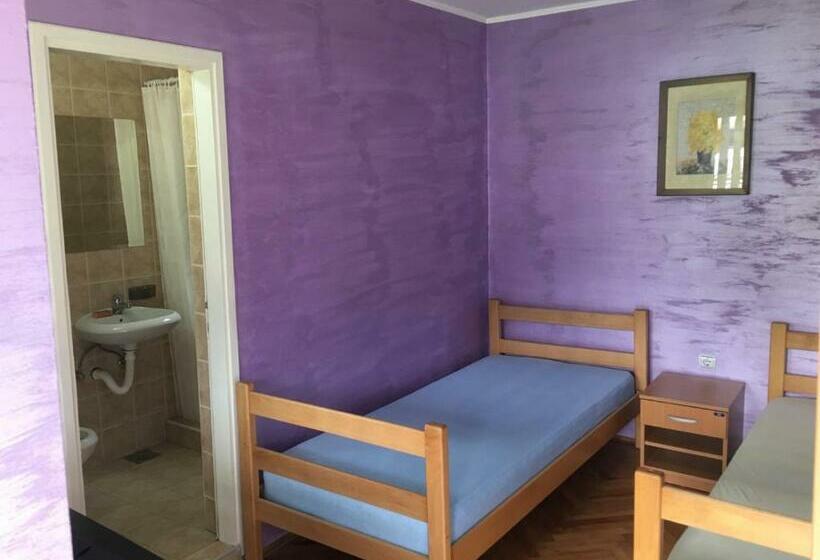 هاستل Banja Gornja Trepca Smestaj Grof