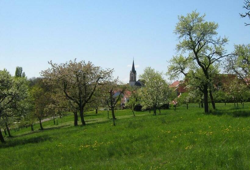 Общежитие Gästehaus König