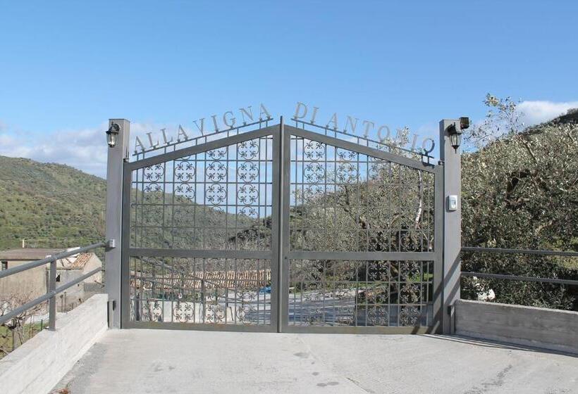 민박 Alla Casa Di Antonio