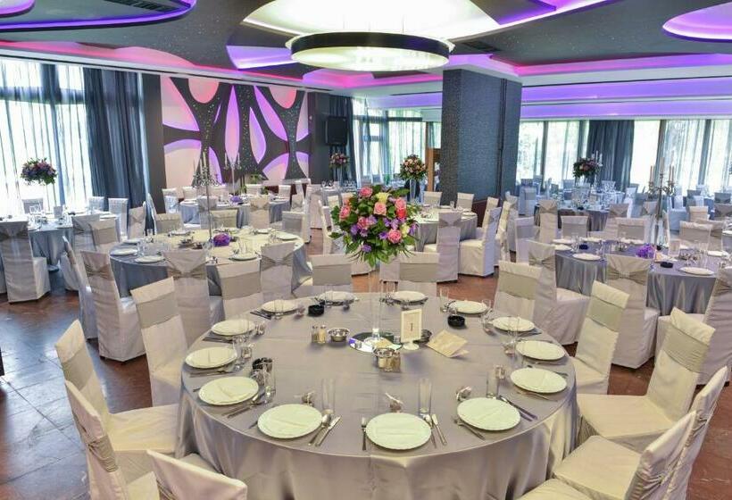 تختخواب و صبحانه Timok