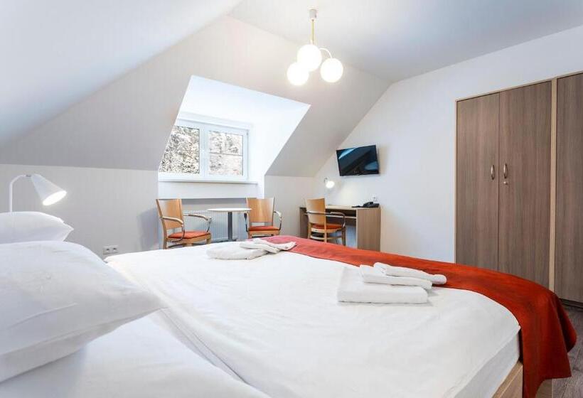 בית מלון כפרי Dagmar