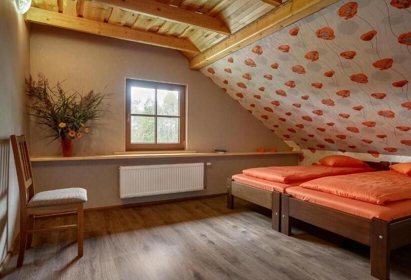 پانسیون Paegli Guest House