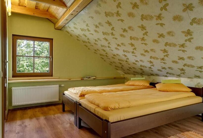 پانسیون Paegli Guest House