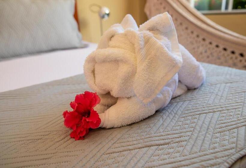 فندق Pousada Sítio Ipê