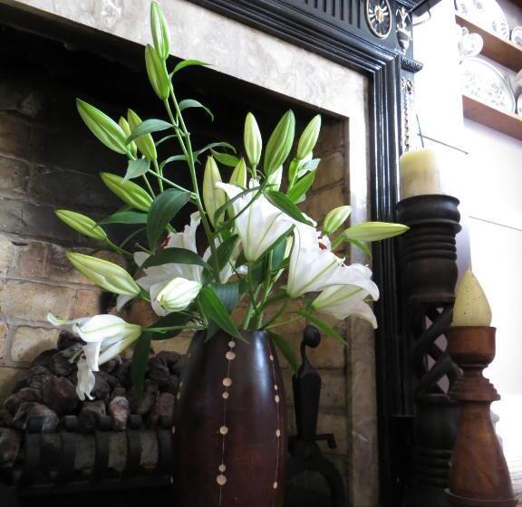 Fotos del hotel Avondale Guest House:  43