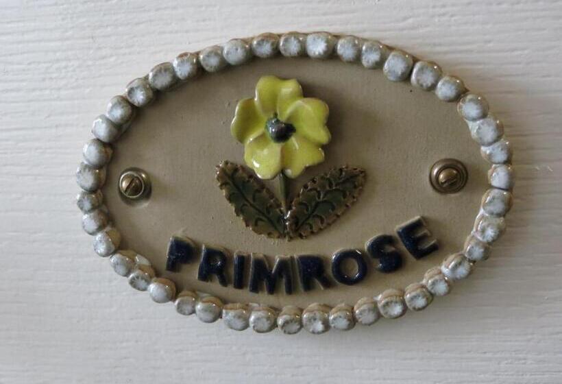 Fotos del hotel Avondale Guest House:  26