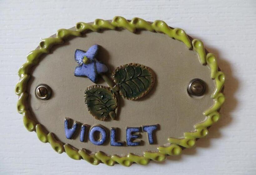 Fotos del hotel Avondale Guest House:  22