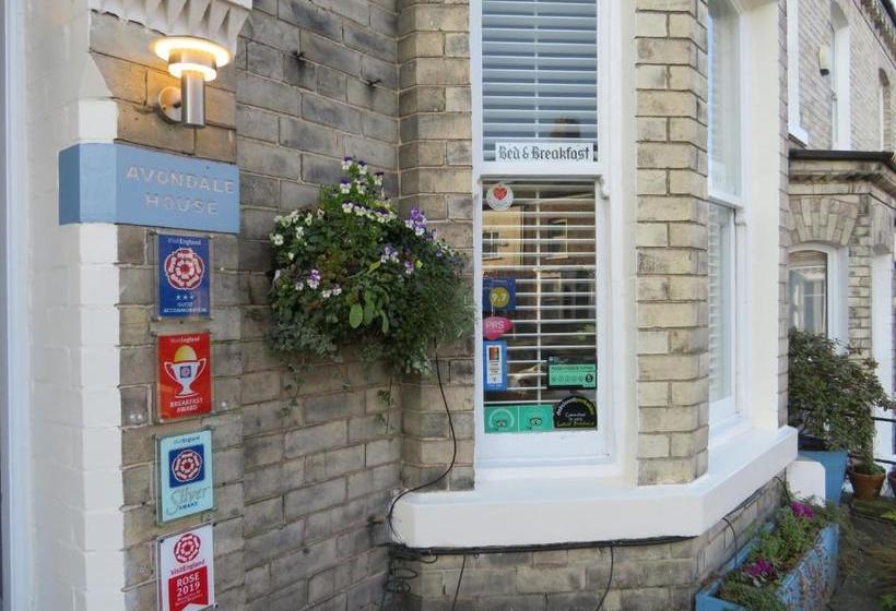 Fotos del hotel Avondale Guest House:  35