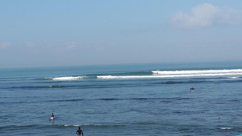 Fotos del hotel The Calmtree Bungalows:  9
