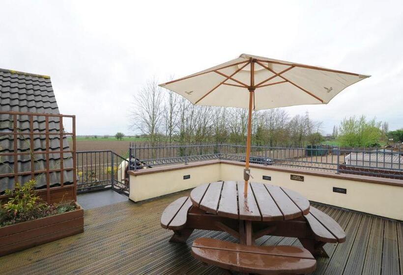 فندق The Elm Tree Inn