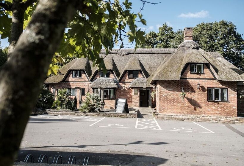 Fotos del hotel The Pilgrim Inn:  29