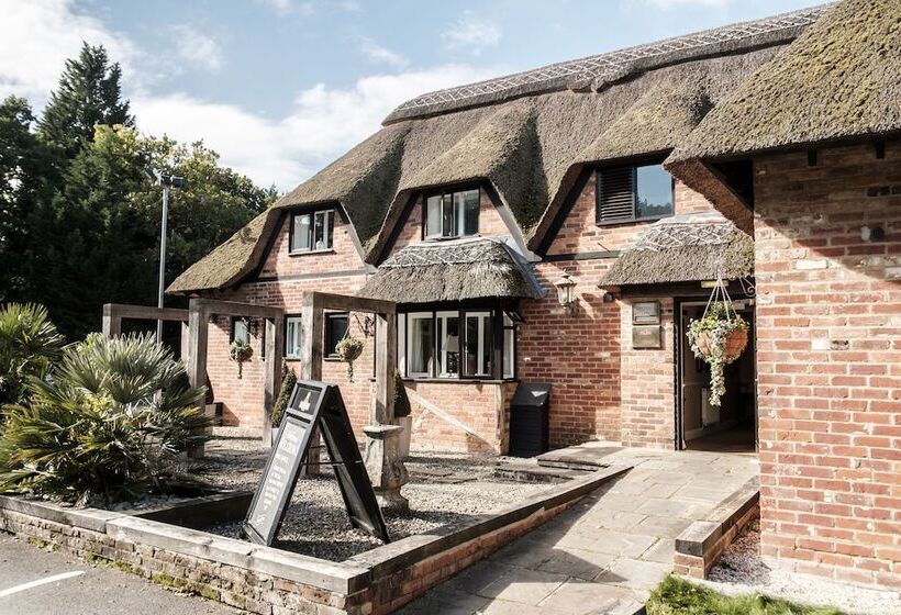 Fotos del hotel The Pilgrim Inn:  38