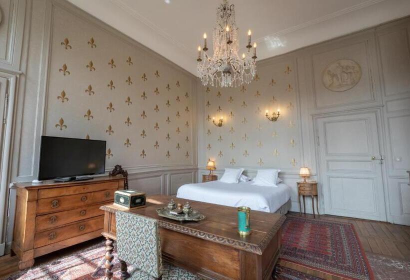 L Hotel De Panette, Un Exceptionnel Château En Ville   Cathédrale