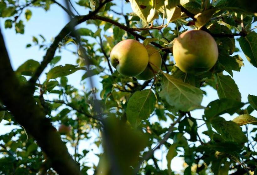 בית מלון כפרי Agriturismo Dartora