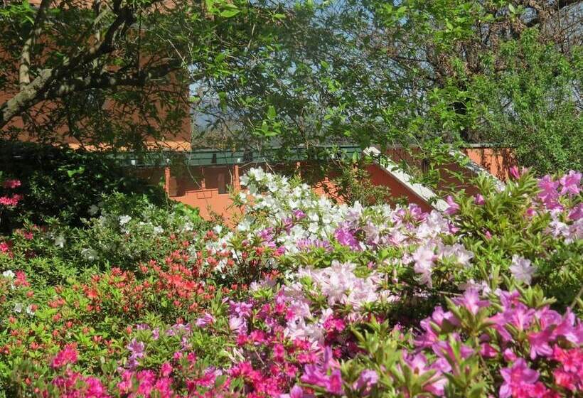 ホテル B&b Tana Della Volpe