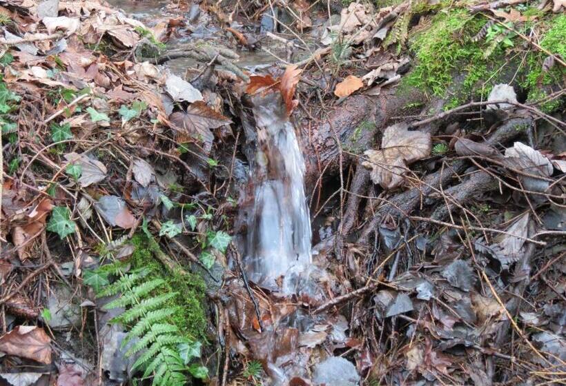 هتل Frauenpension Arleta   Women Only