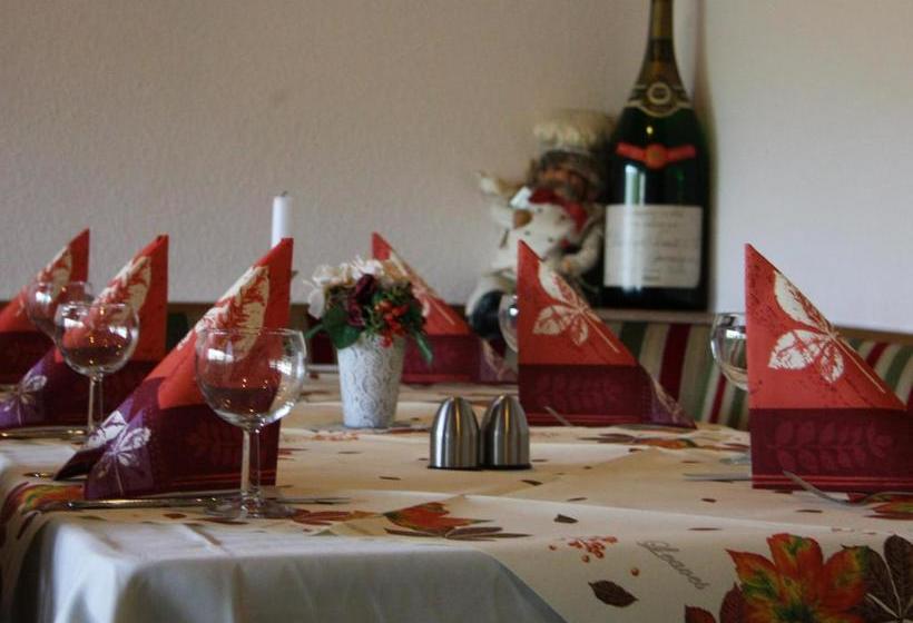 酒店 Haus Salzberg Garni