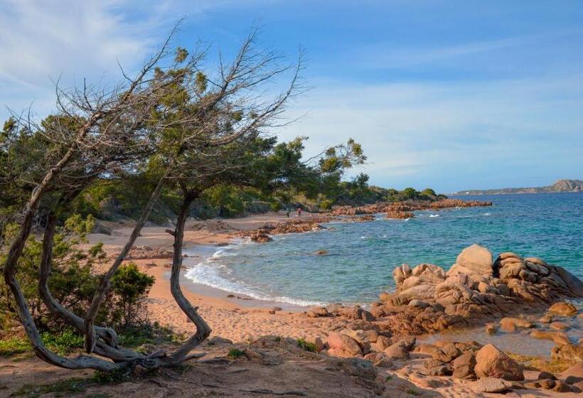 Отель La Costa View