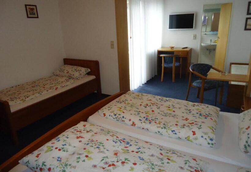 هتل Leise Garni Willingen