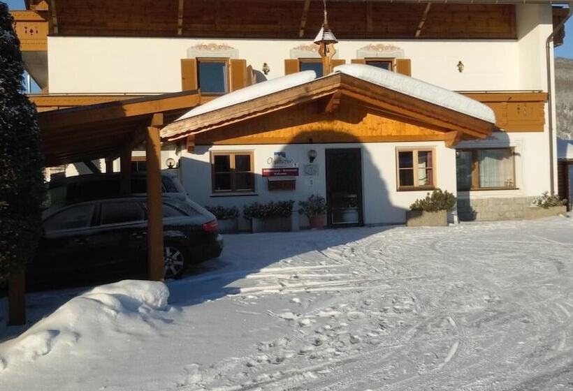 Отель Residence Condor