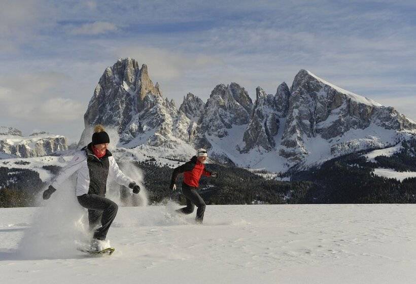 هتل Saltria   Your Alpine Experience