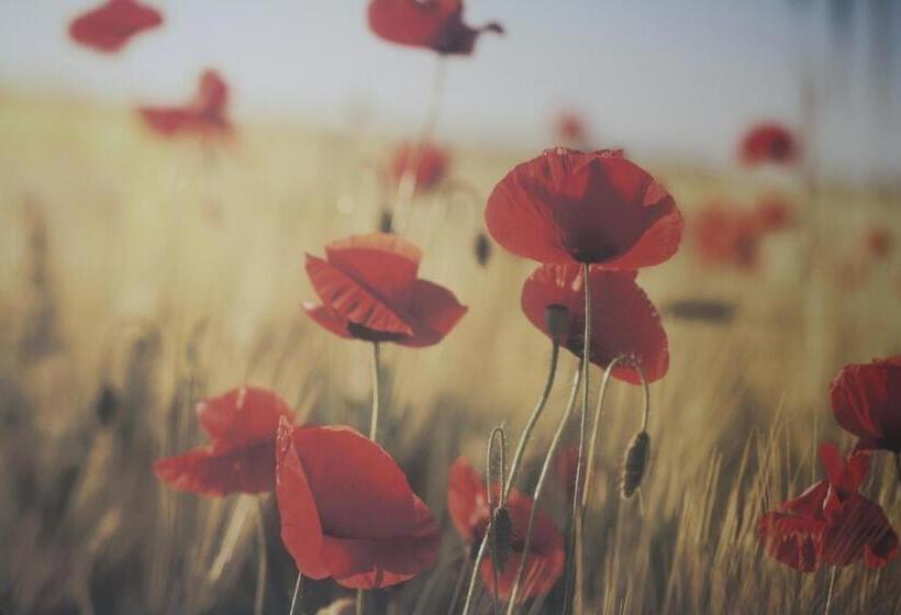 בית מלון כפרי Valbrenta