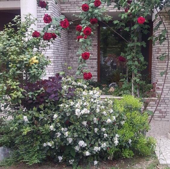 فندق Villa Gioia Rooms