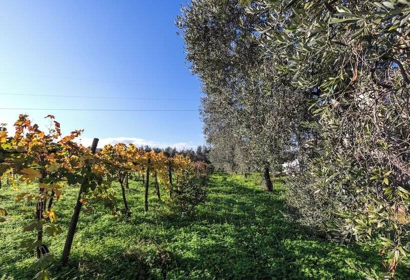 هتل Agriturismo Posta Pastorella