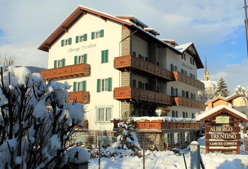 فندق Albergo Trentino