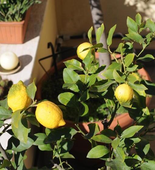 Fotos del hotel Aldebaran:  39