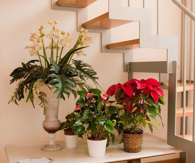 Fotos del hotel All'obelisco:  39